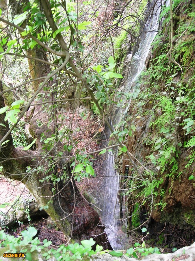 DSCN5900.JPG