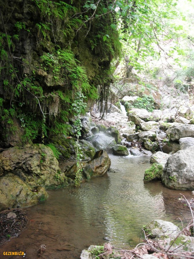 DSCN5901.JPG