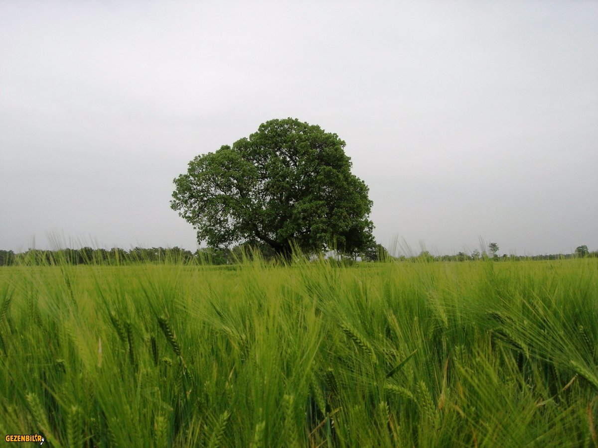 DSCN5904.JPG