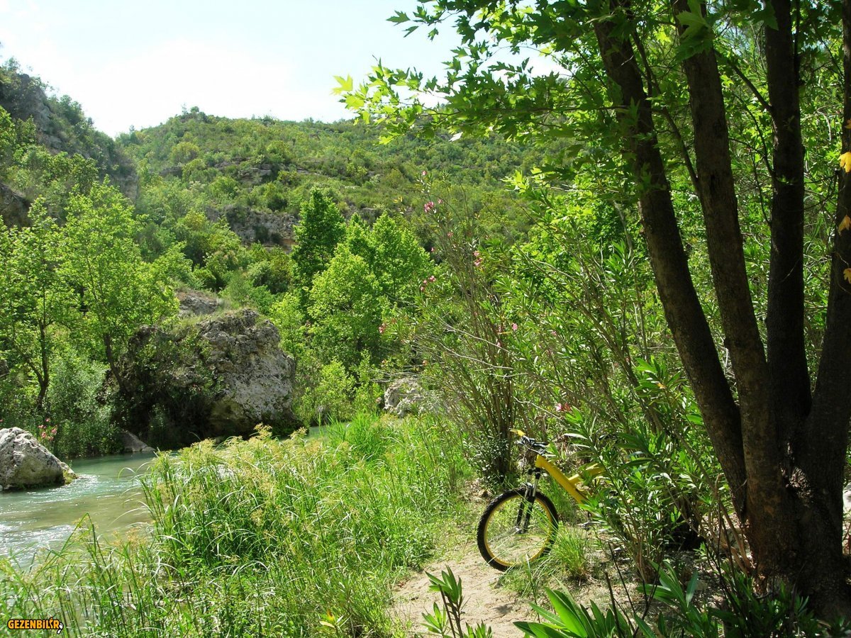 DSCN5926.JPG