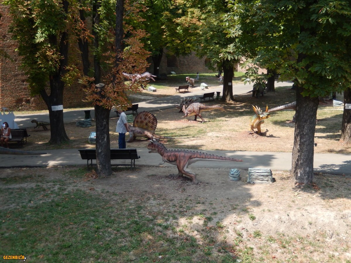 DSCN6397.JPG