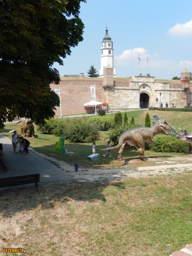 DSCN6398.JPG