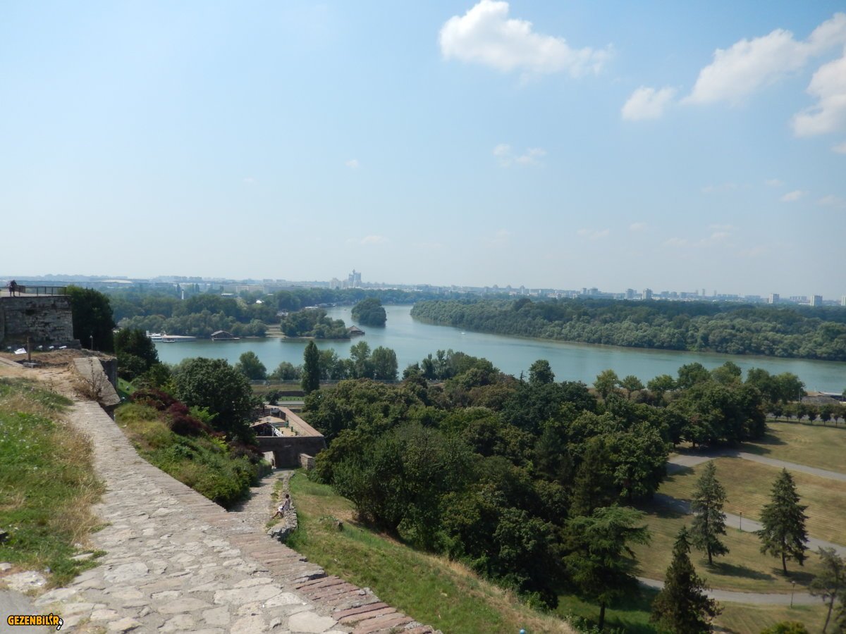 DSCN6411.JPG