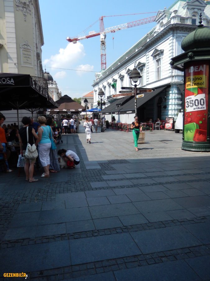 DSCN6413.JPG