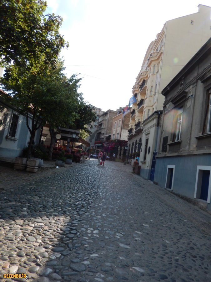 DSCN6424.JPG