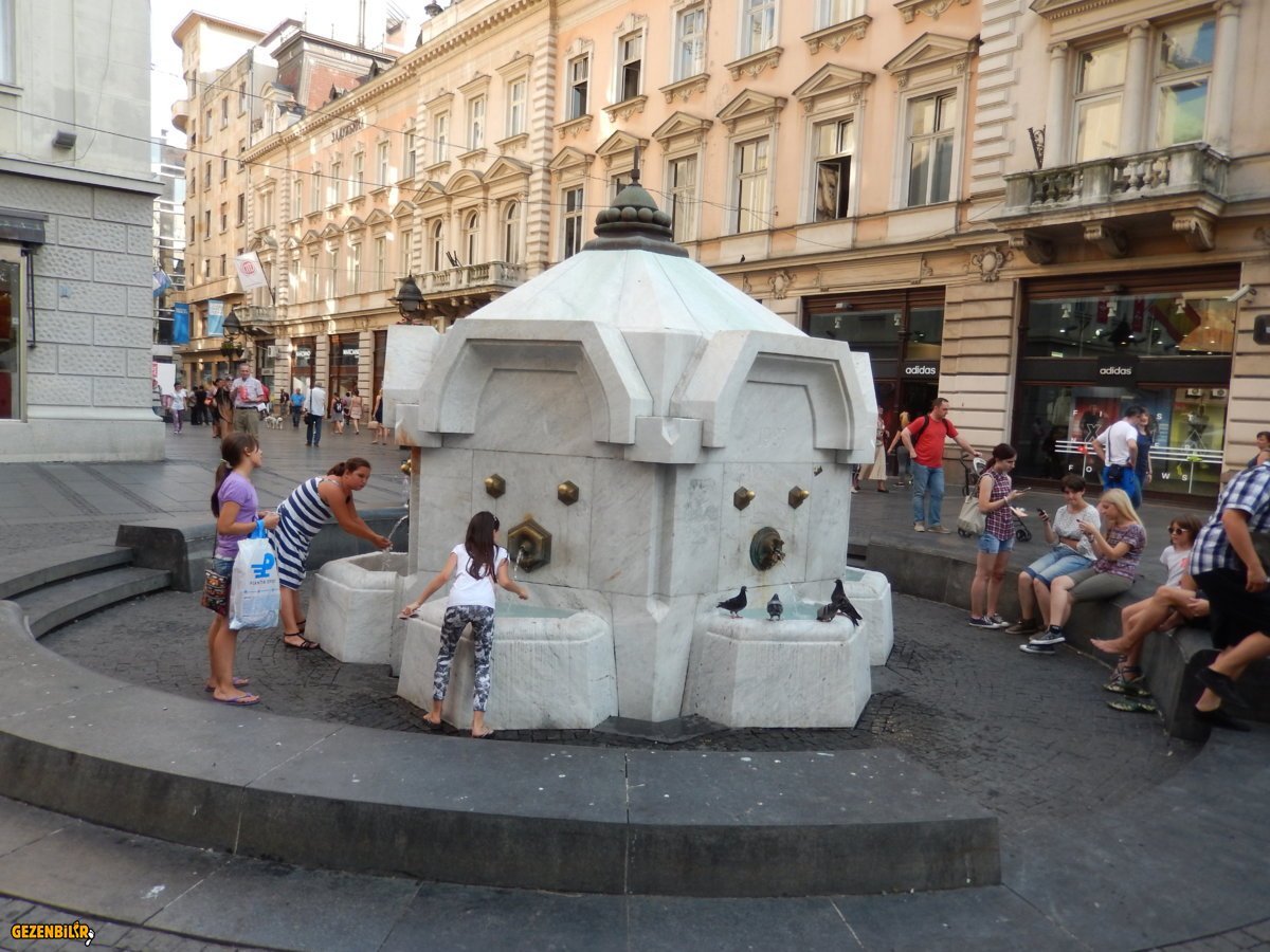 DSCN6428.JPG