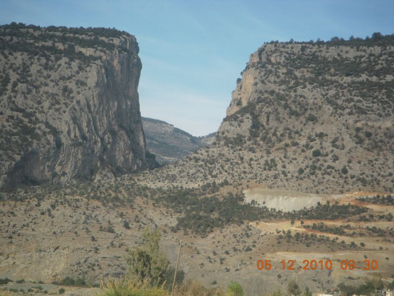 DSCN6569.jpg