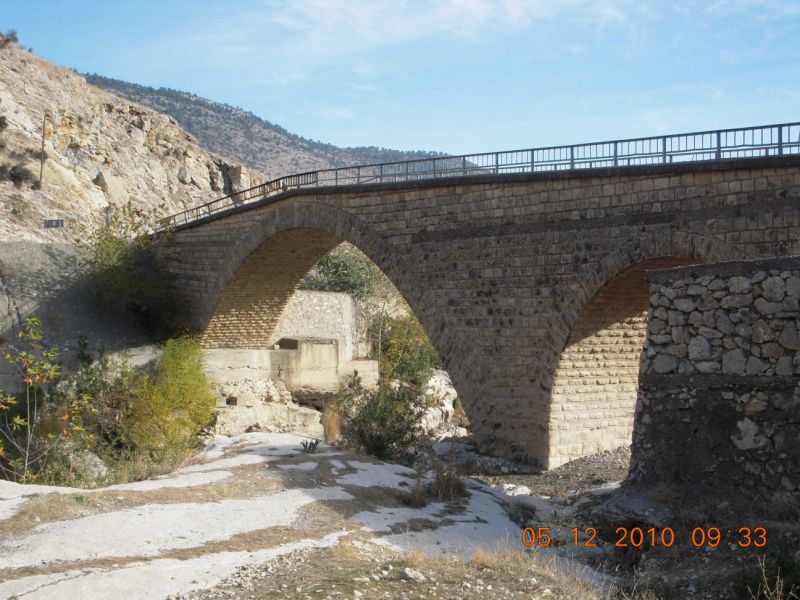 DSCN6572.jpg