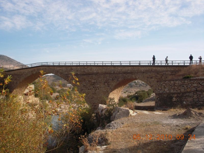 DSCN6573.jpg