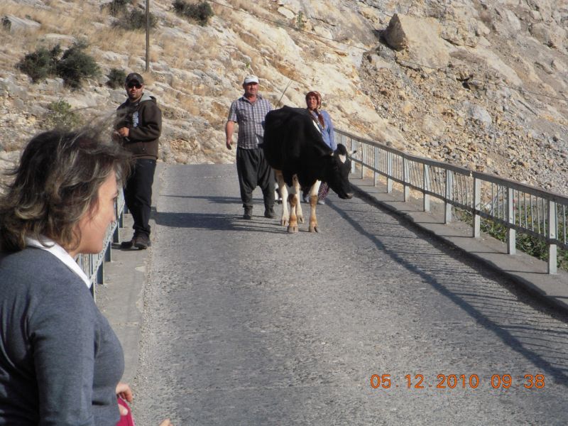 DSCN6582.jpg