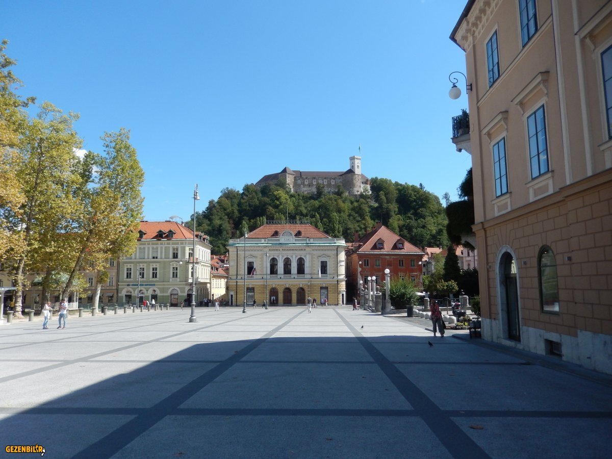 DSCN6786.JPG