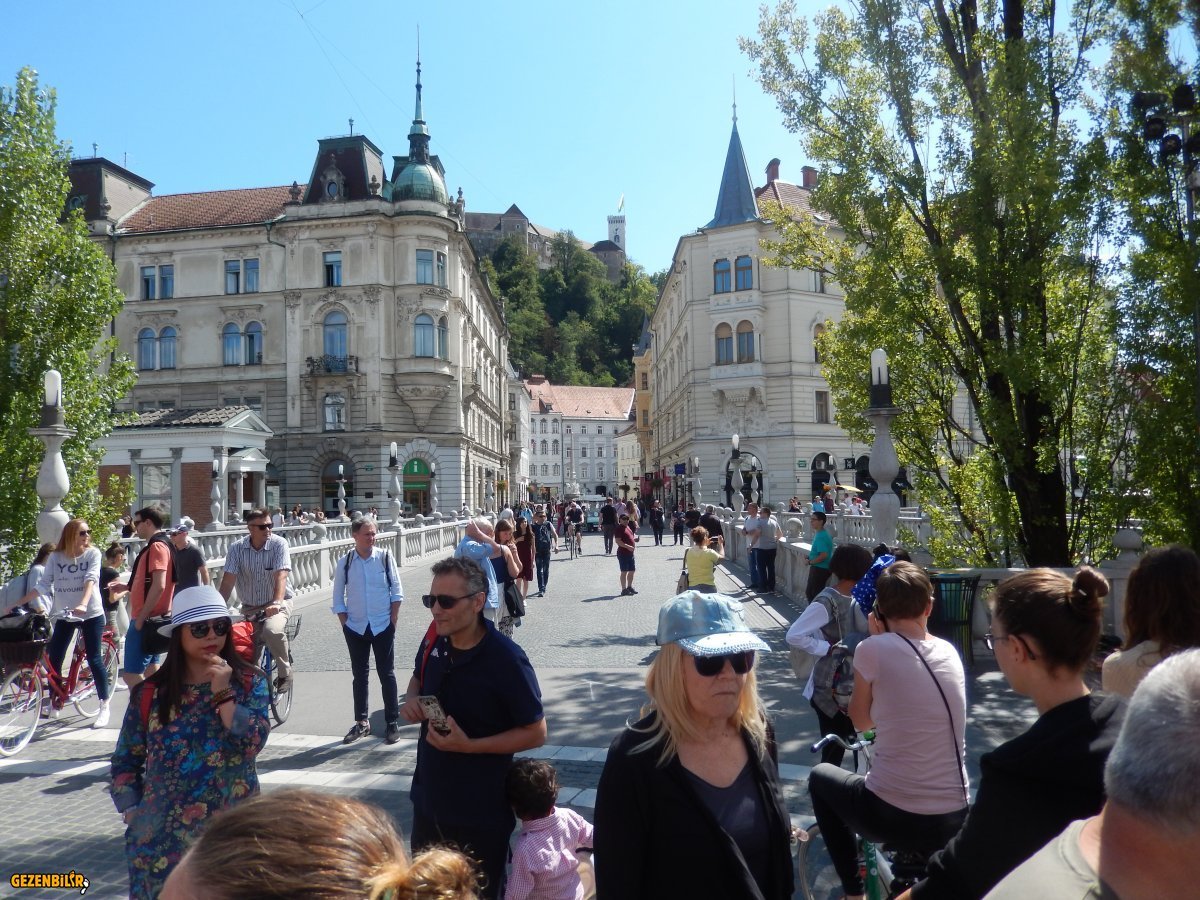 DSCN6795.JPG