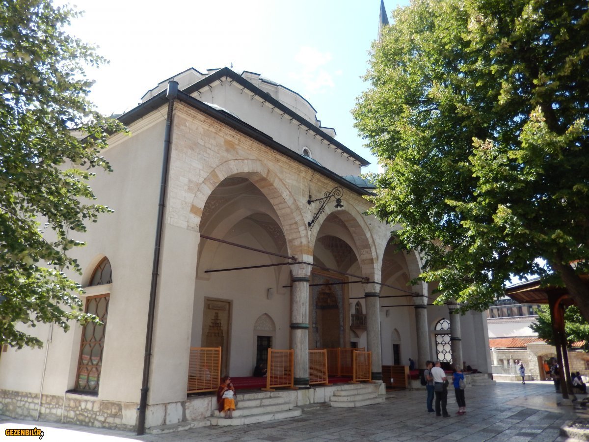 DSCN6920.JPG