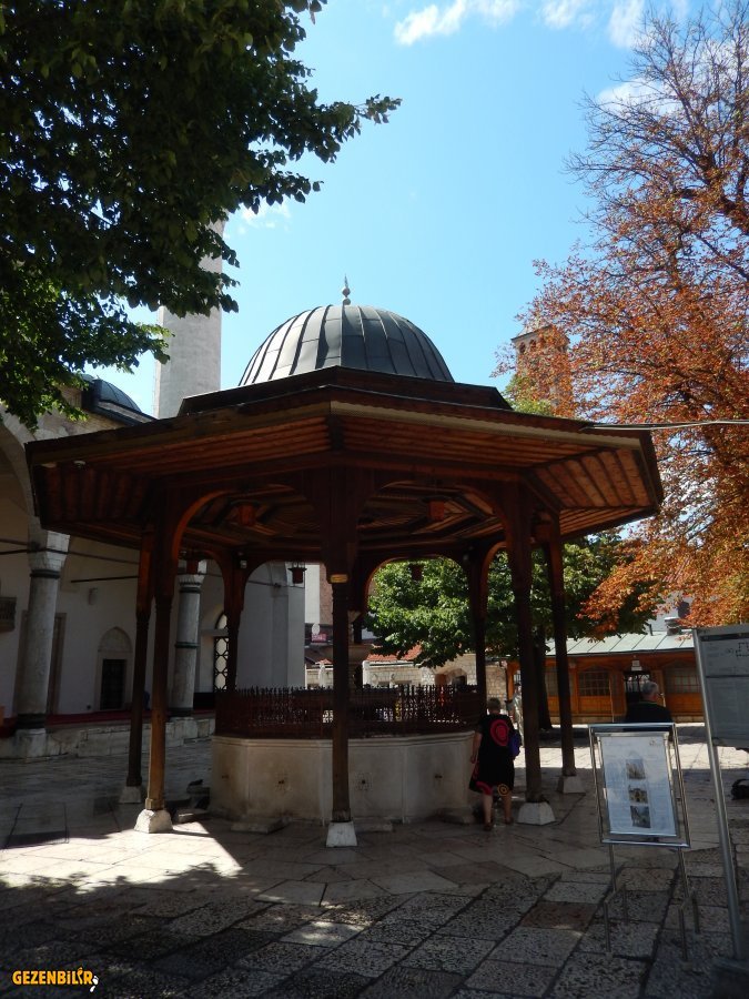 DSCN6921.JPG