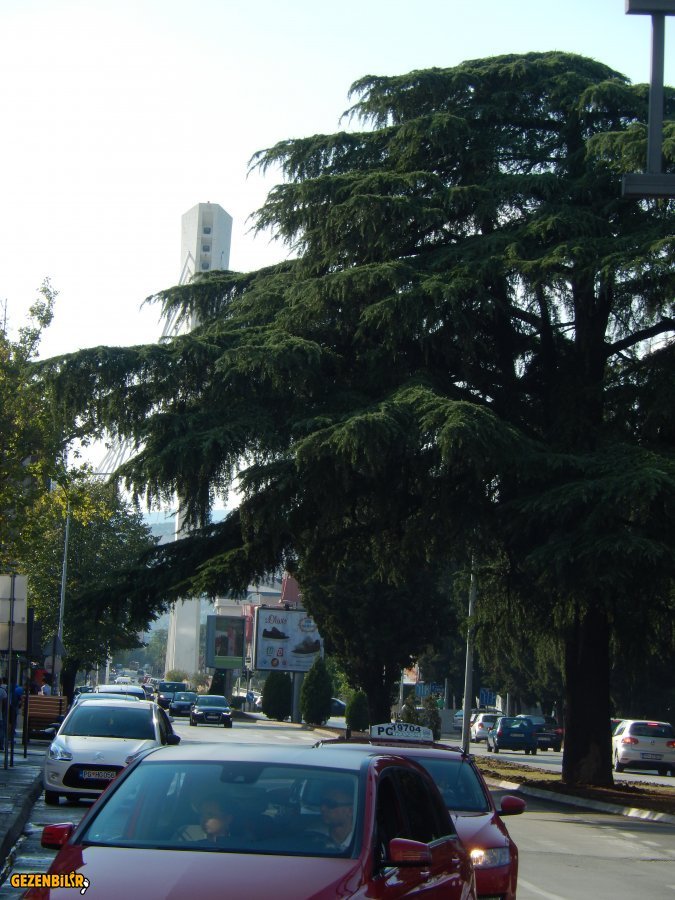 DSCN6987.JPG
