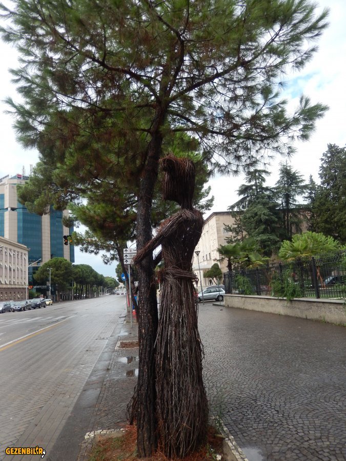 DSCN6998.JPG