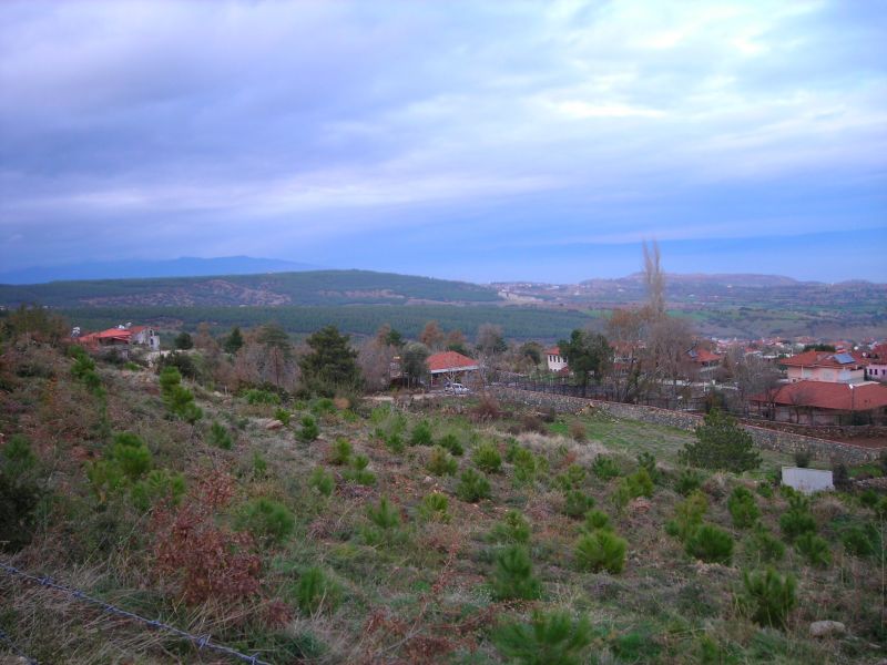 DSCN7044.jpg