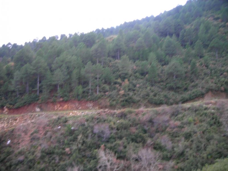 DSCN7049.jpg