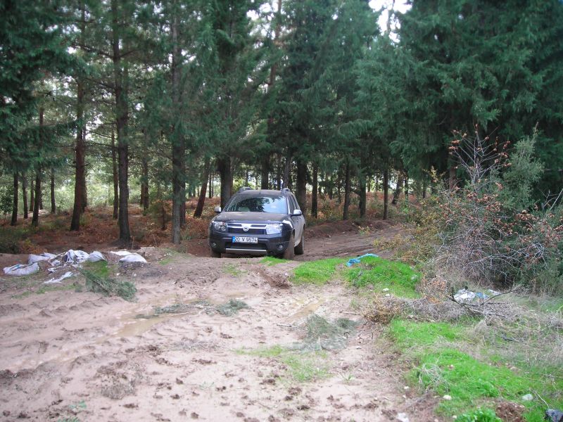 DSCN7058.jpg