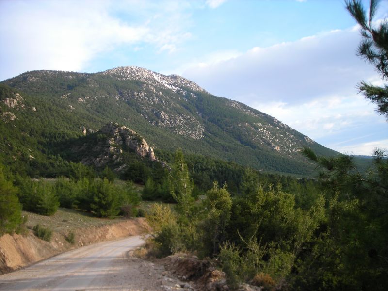 DSCN7070.jpg
