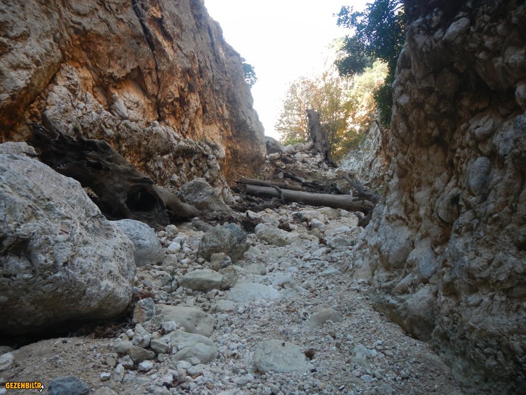 DSCN7070.JPG