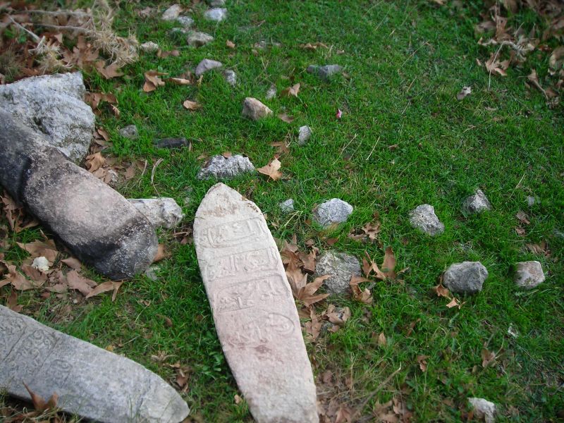DSCN7072.jpg