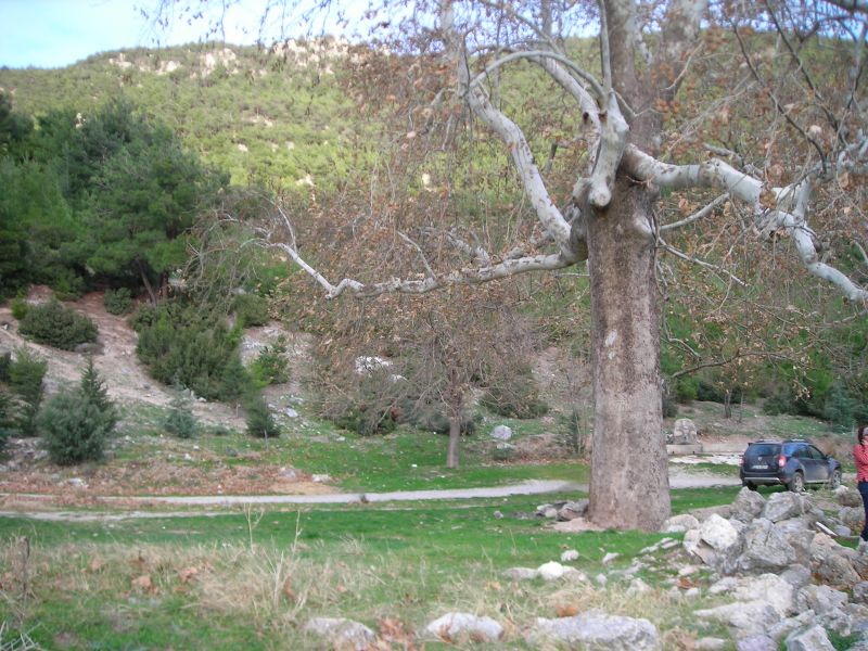 DSCN7074.jpg
