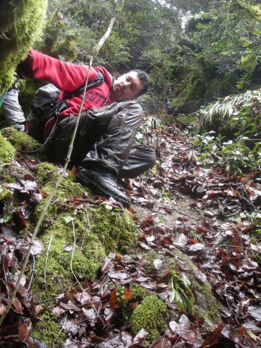DSCN7084.jpg