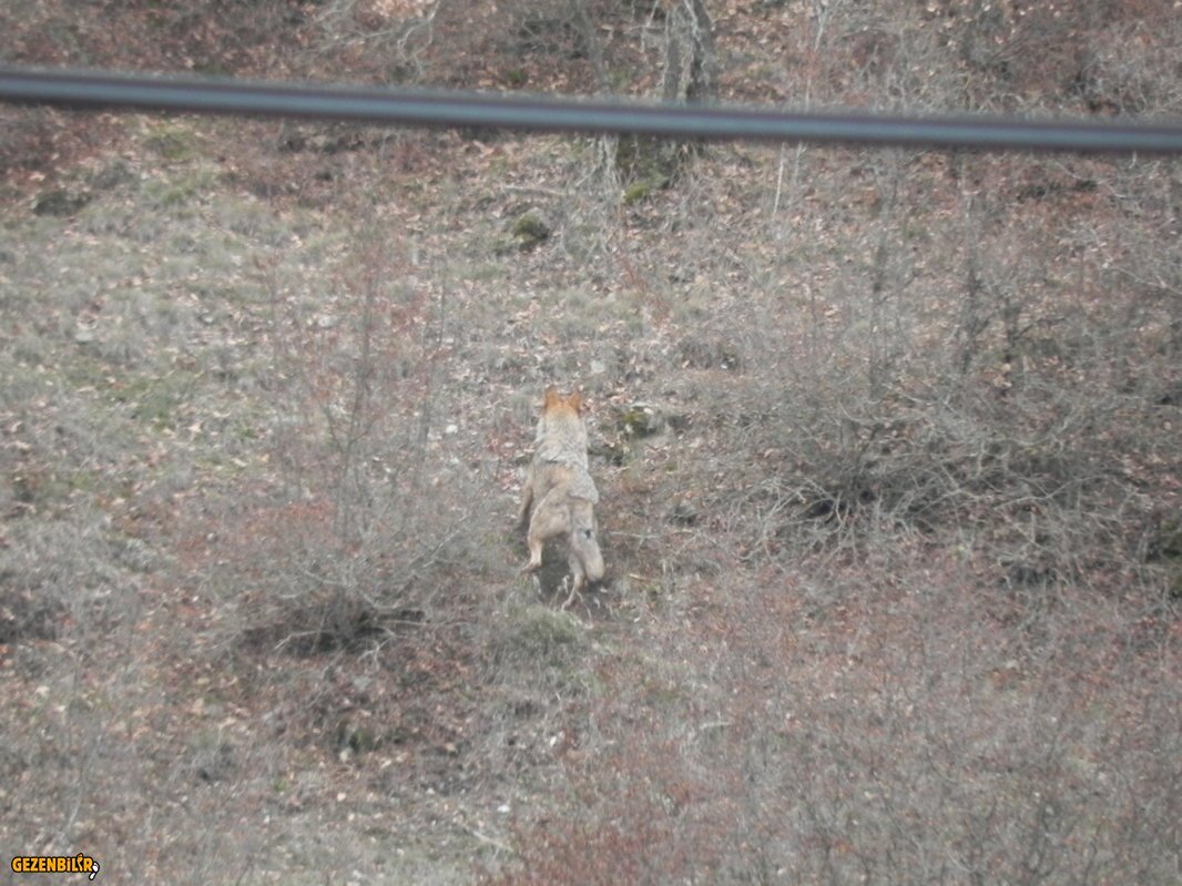 DSCN7088.JPG