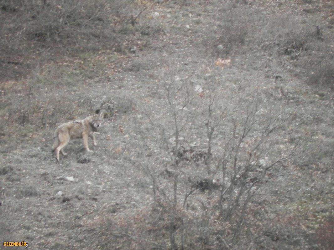 DSCN7089.JPG
