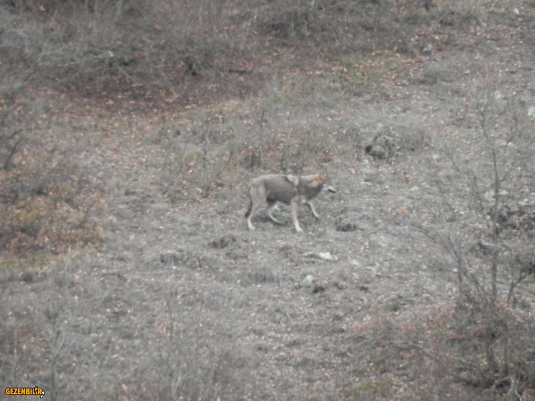 DSCN7091.JPG