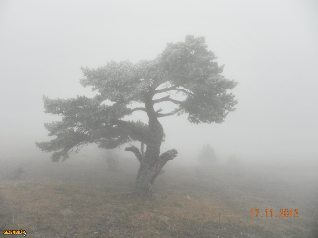 DSCN7103.JPG