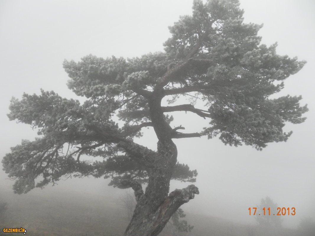 DSCN7104.JPG