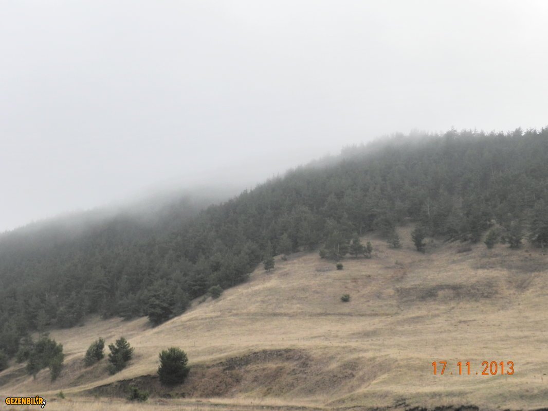 DSCN7123.JPG