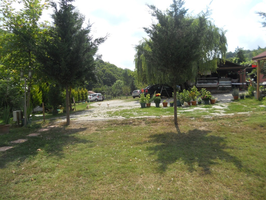 DSCN7125.jpg