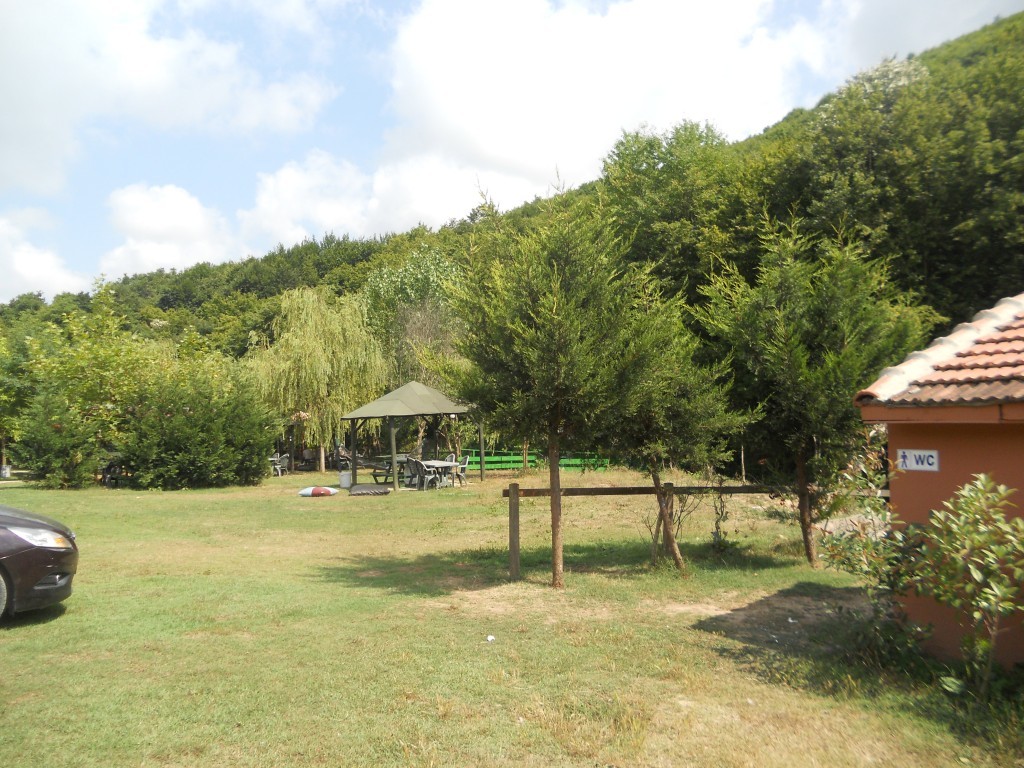 DSCN7133.JPG