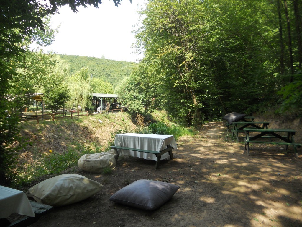 DSCN7152.JPG