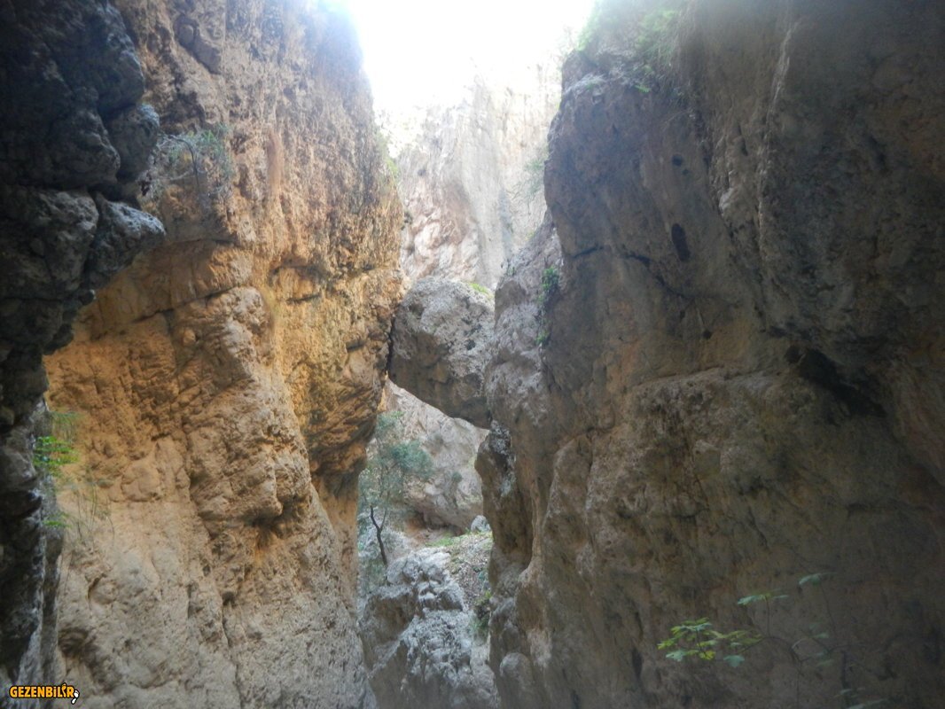 DSCN7155.JPG