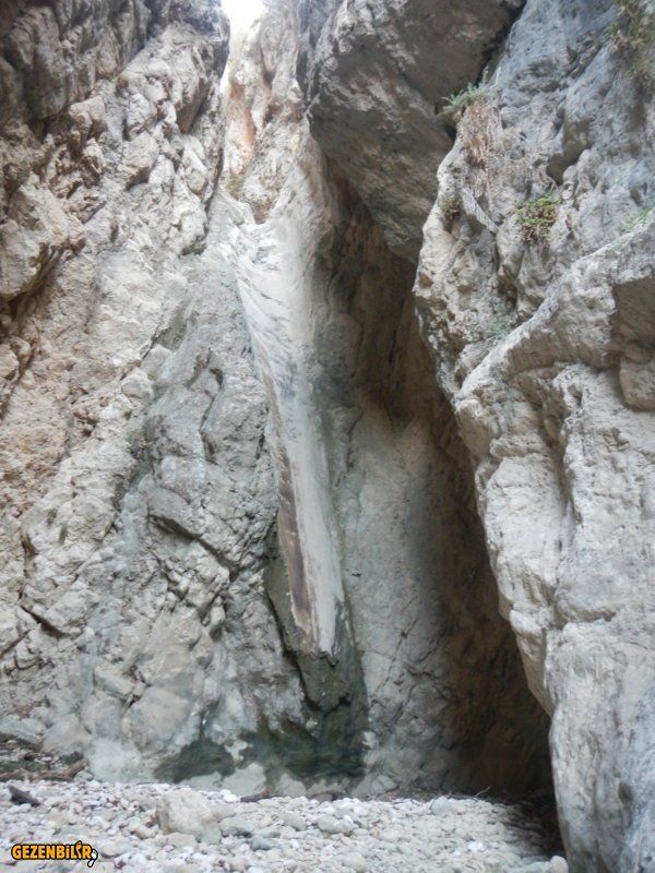 DSCN7171.JPG