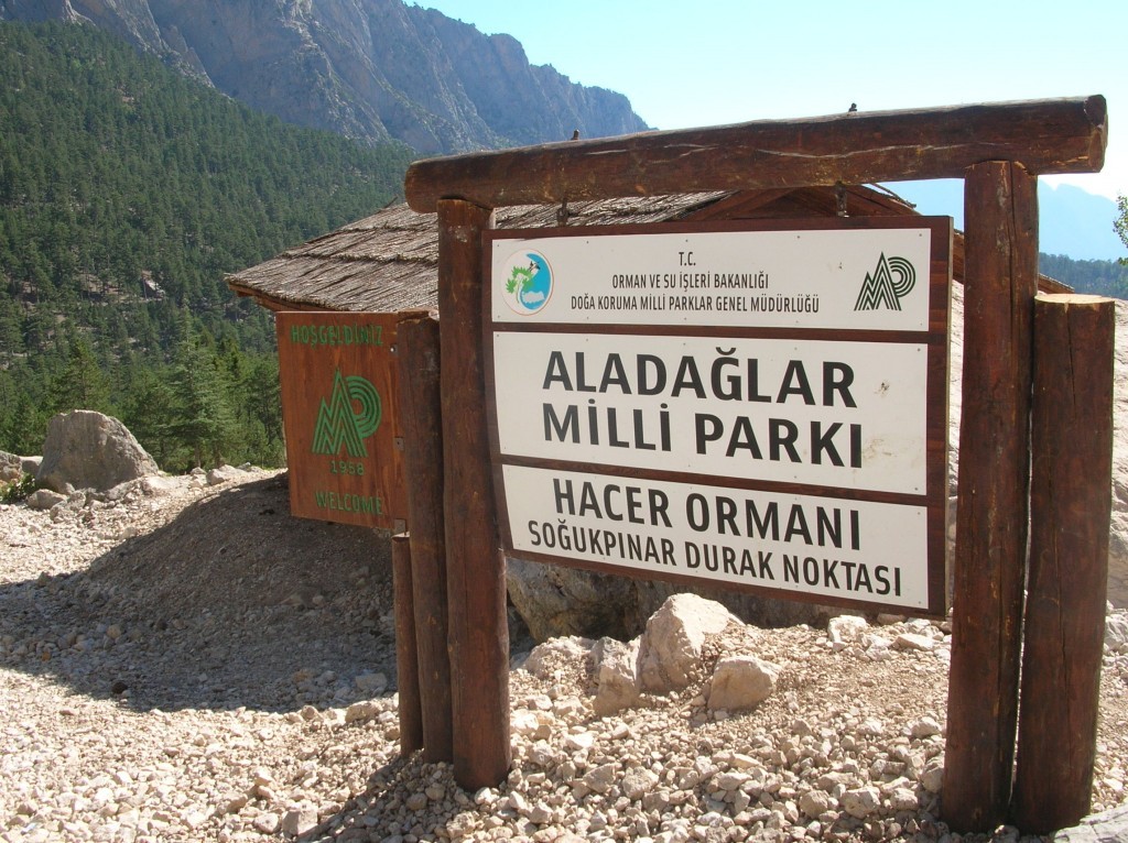 DSCN7174.JPG