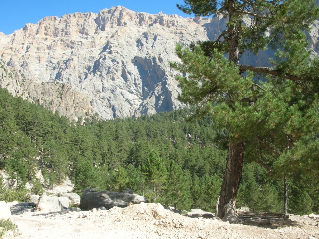 DSCN7175.JPG