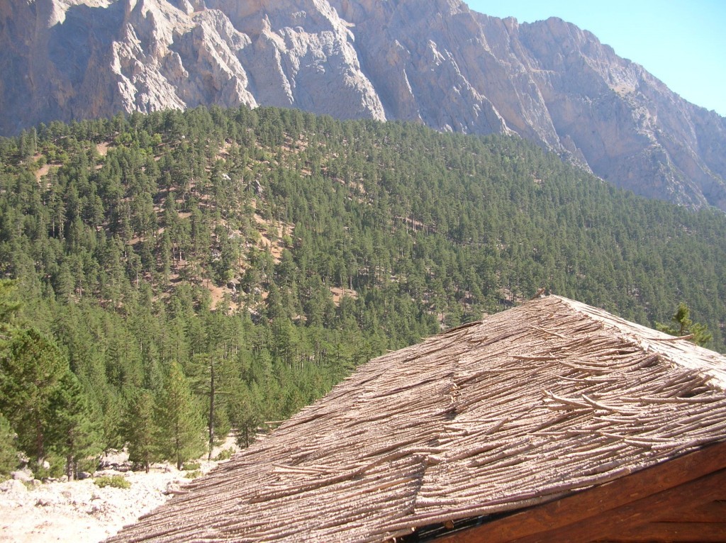 DSCN7178.JPG