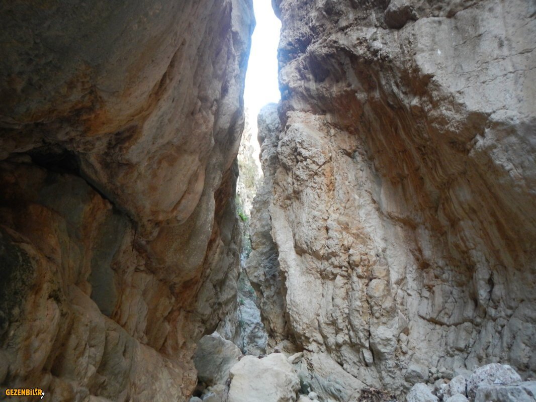 DSCN7224.JPG