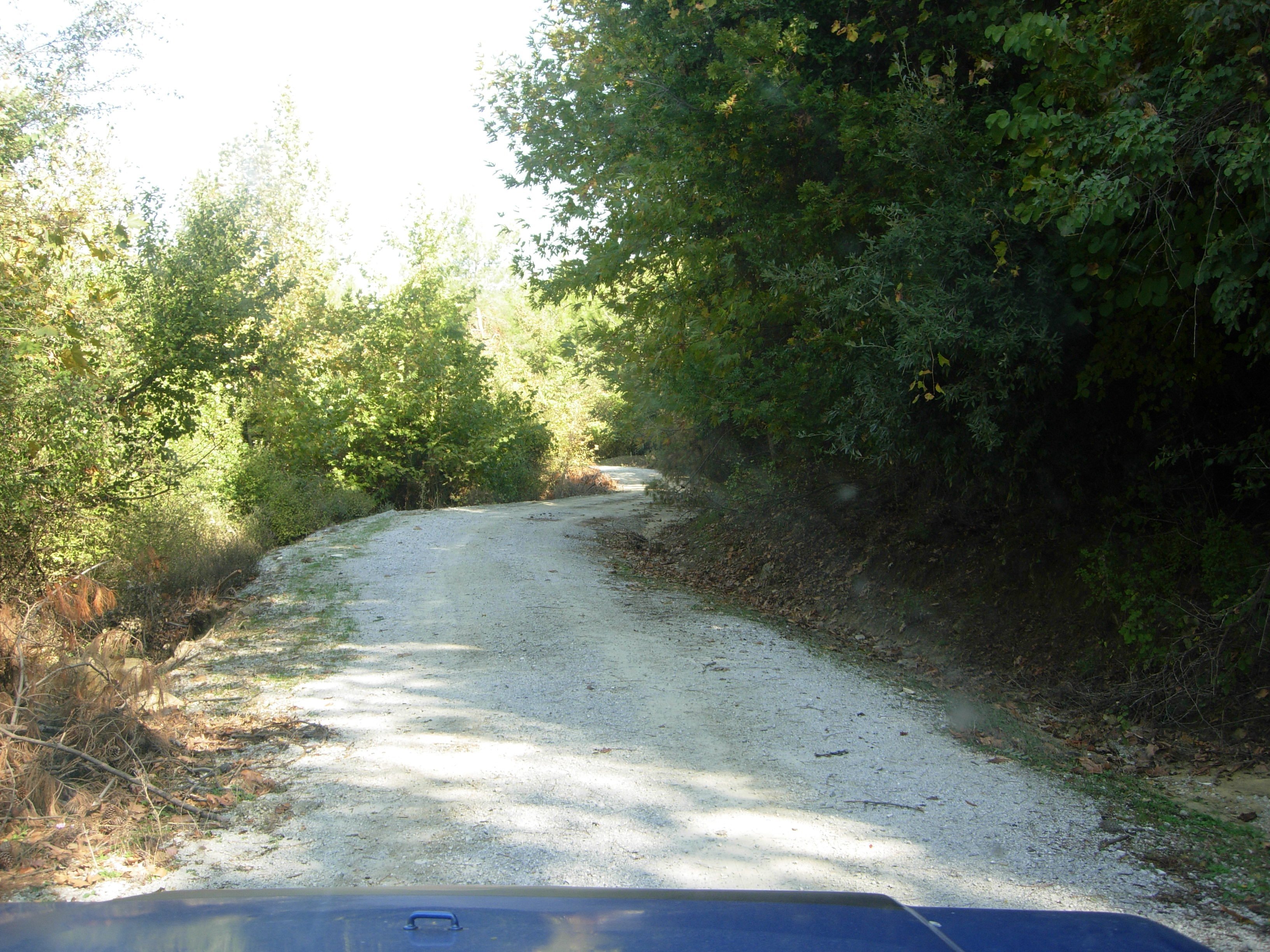 DSCN7374.jpg