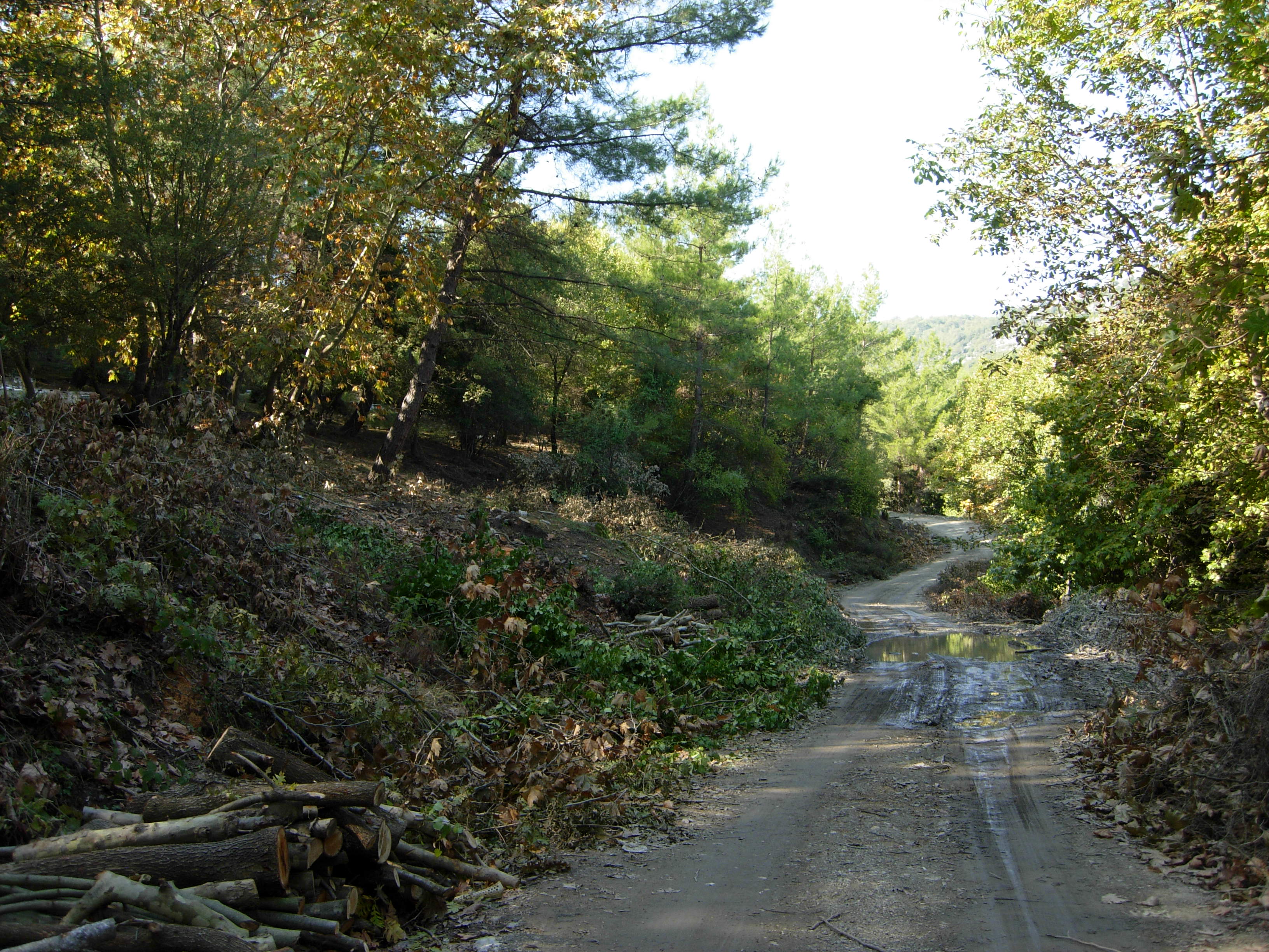 DSCN7416.jpg