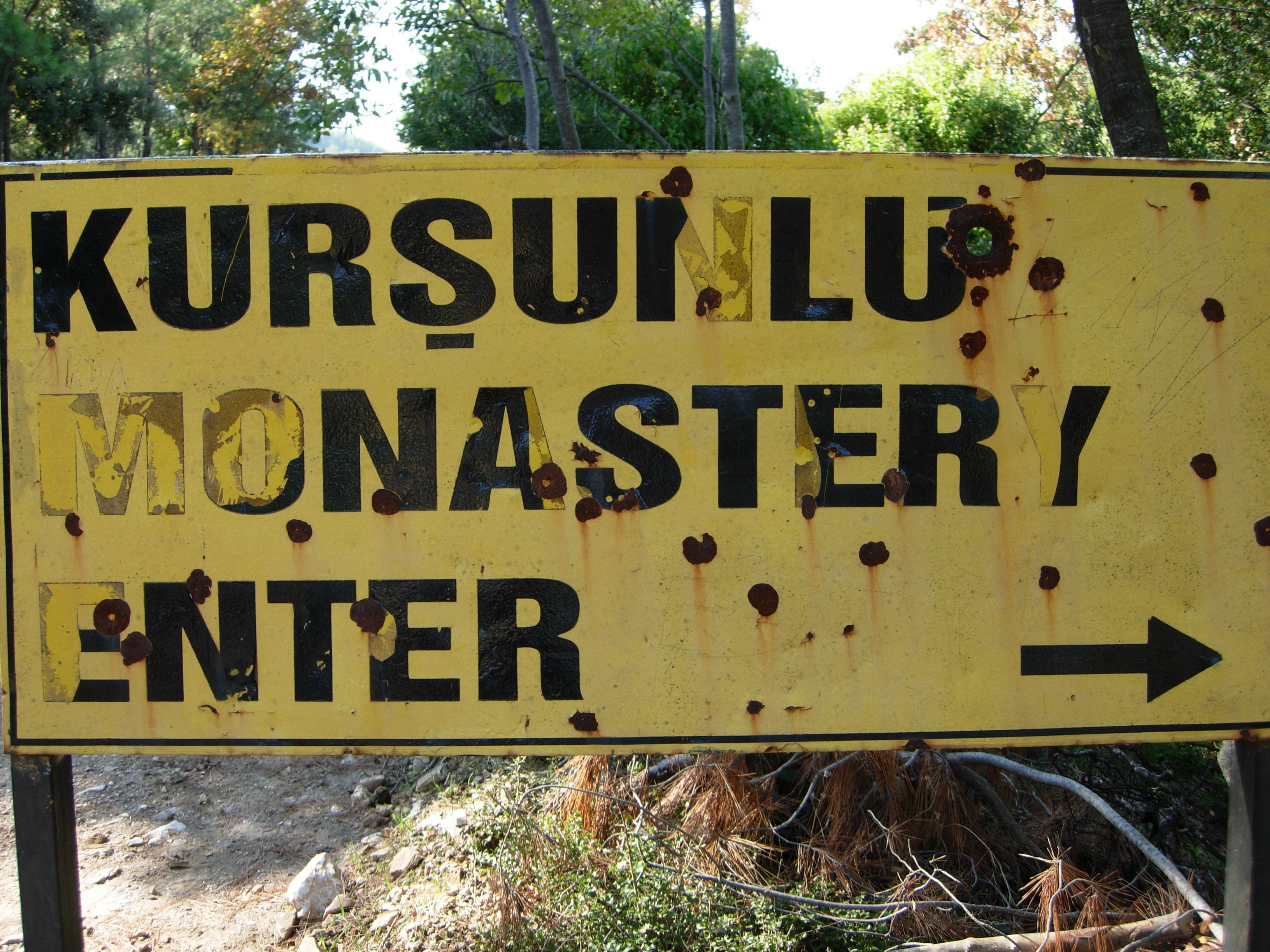 DSCN7449.jpg