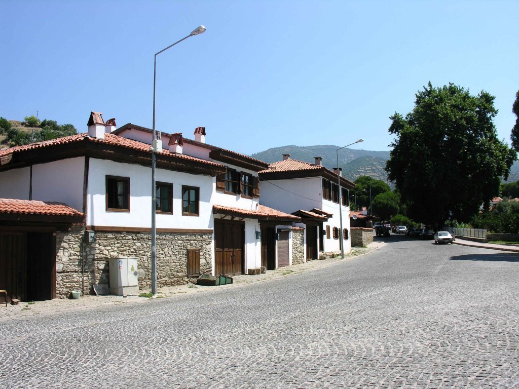 DSCN7608.jpg