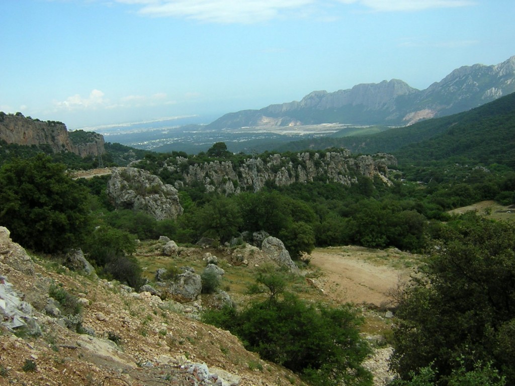 DSCN7615.JPG