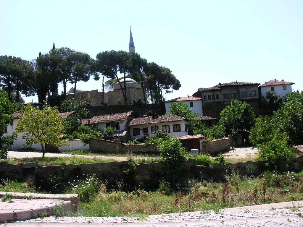 DSCN7616.jpg