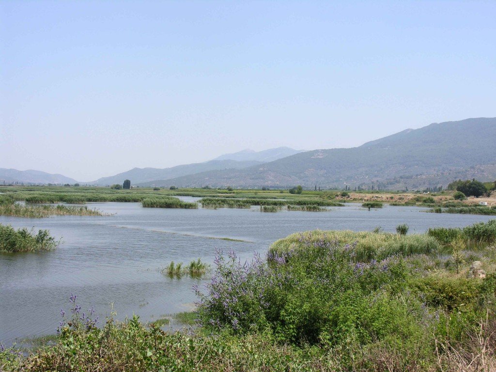 DSCN7628.jpg